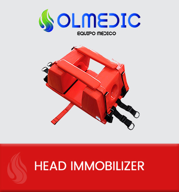 Head immobilizer