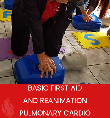 basic first aid and reanimation pulmonary cardio